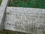 image of grave number 557667